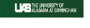 The University of Alabama Birmingham Logo